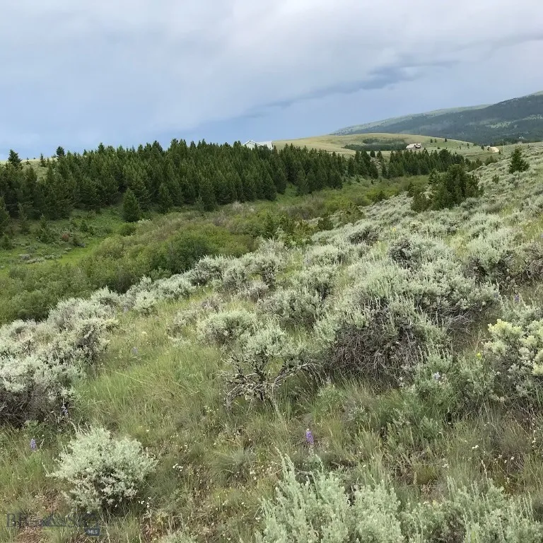 40 Mike Day Drive, White Sulphur Springs, Montana, White Sulphur Springs, Montana 59645, ,Land,For Sale,40 Mike Day Drive, White Sulphur Springs, Montana ,0,409181