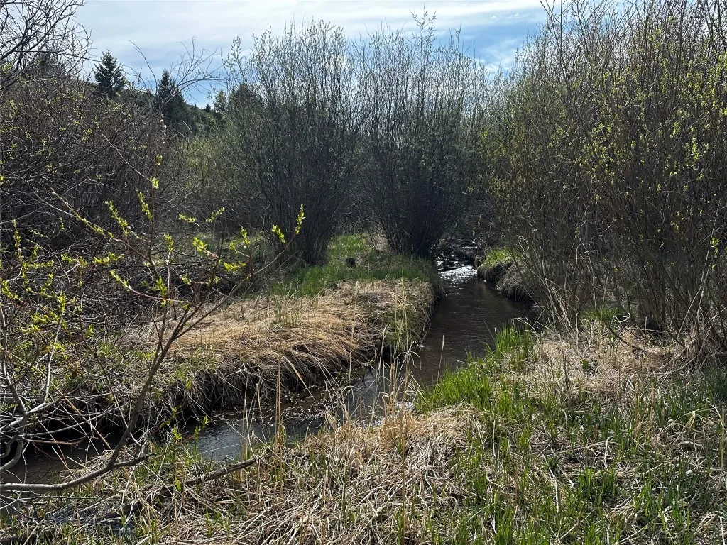 40 Mike Day Drive, White Sulphur Springs, Montana, White Sulphur Springs, Montana 59645, ,Land,For Sale,40 Mike Day Drive, White Sulphur Springs, Montana ,0,409181