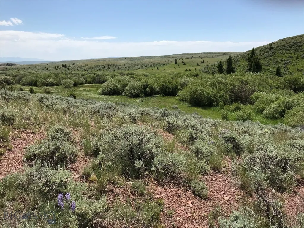 40 Mike Day Drive, White Sulphur Springs, Montana, White Sulphur Springs, Montana 59645, ,Land,For Sale,40 Mike Day Drive, White Sulphur Springs, Montana ,0,409181