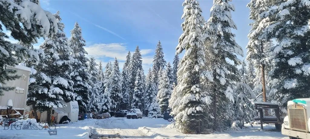 Seeley Lake, Montana 59868, ,Land,For Sale,0,409204