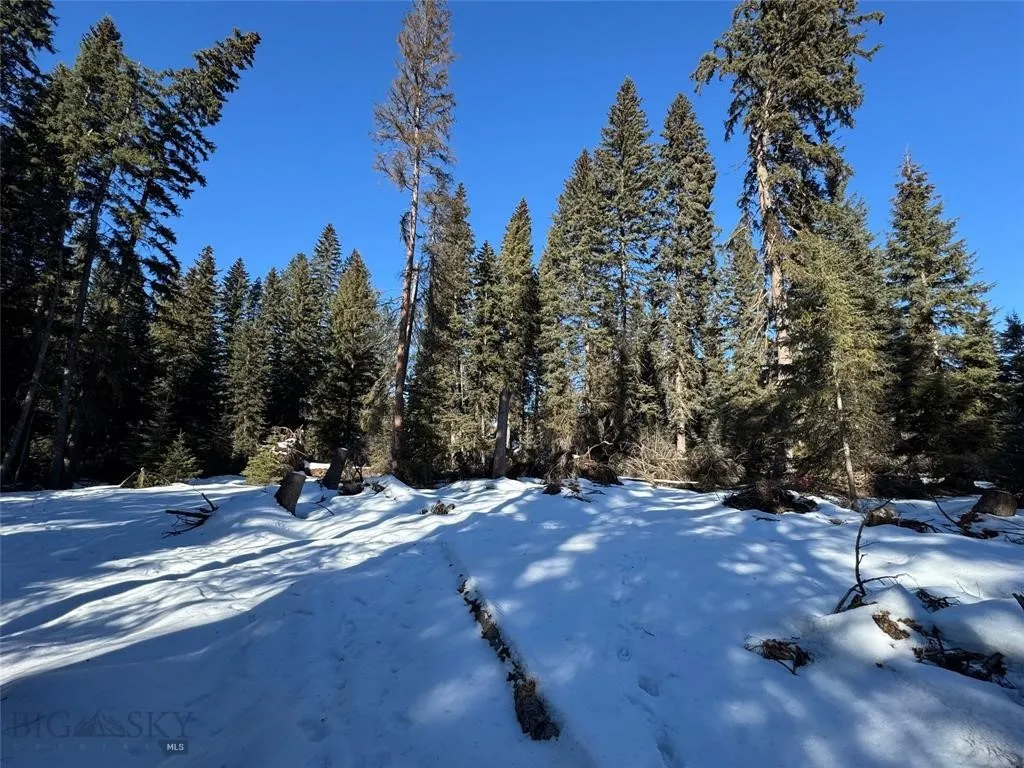 Seeley Lake, Montana 59868, ,Land,For Sale,0,409204