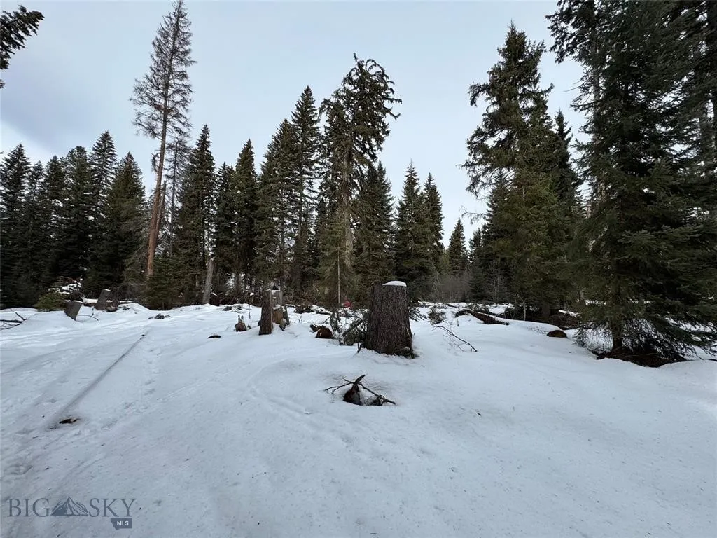 Seeley Lake, Montana 59868, ,Land,For Sale,0,409204