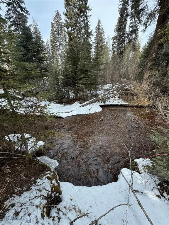 Seeley Lake, Montana 59868, ,Land,For Sale,0,409204