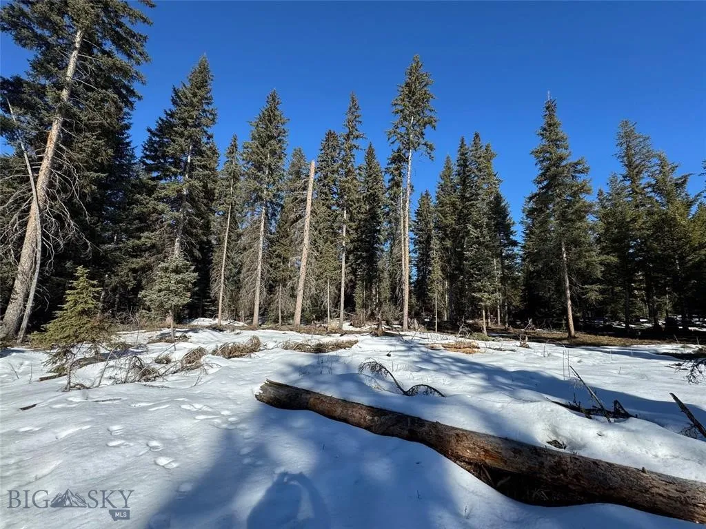 Seeley Lake, Montana 59868, ,Land,For Sale,0,409204