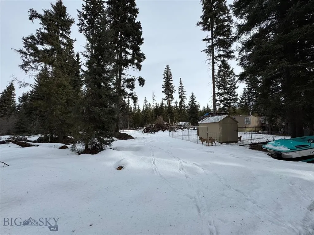 Seeley Lake, Montana 59868, ,Land,For Sale,0,409204