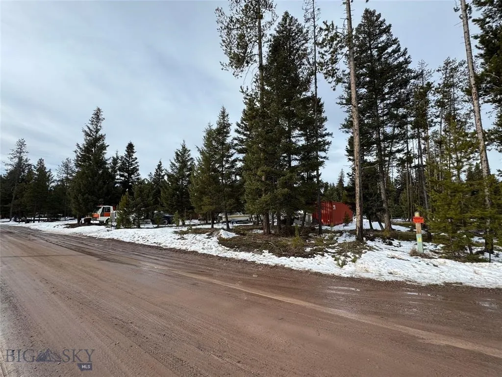 Seeley Lake, Montana 59868, ,Land,For Sale,0,409204