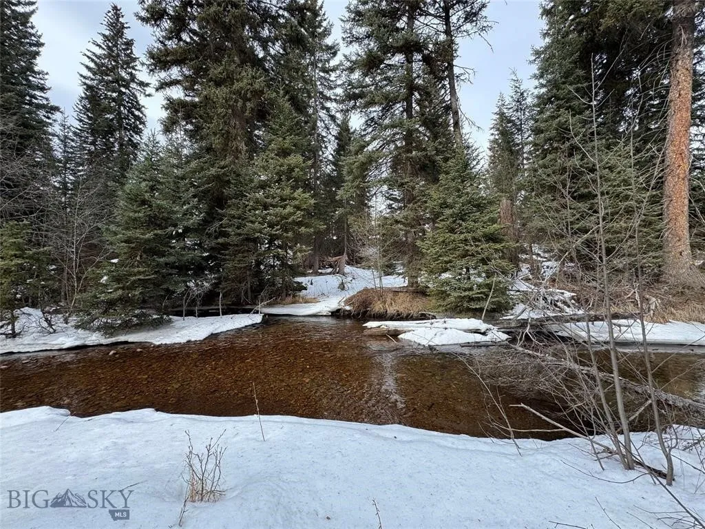 Seeley Lake, Montana 59868, ,Land,For Sale,0,409204