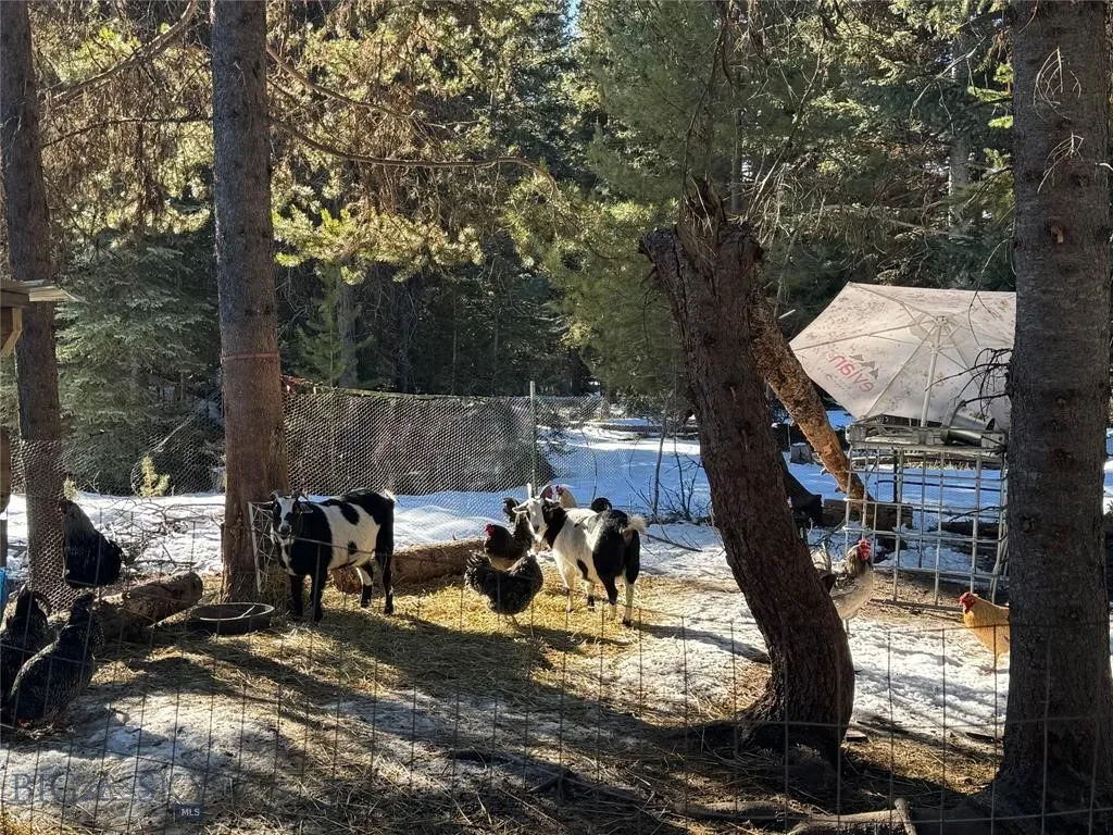 Seeley Lake, Montana 59868, ,Land,For Sale,0,409204