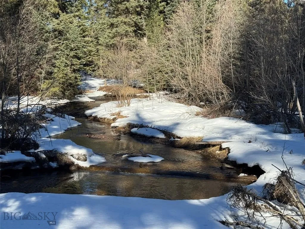Seeley Lake, Montana 59868, ,Land,For Sale,0,409204