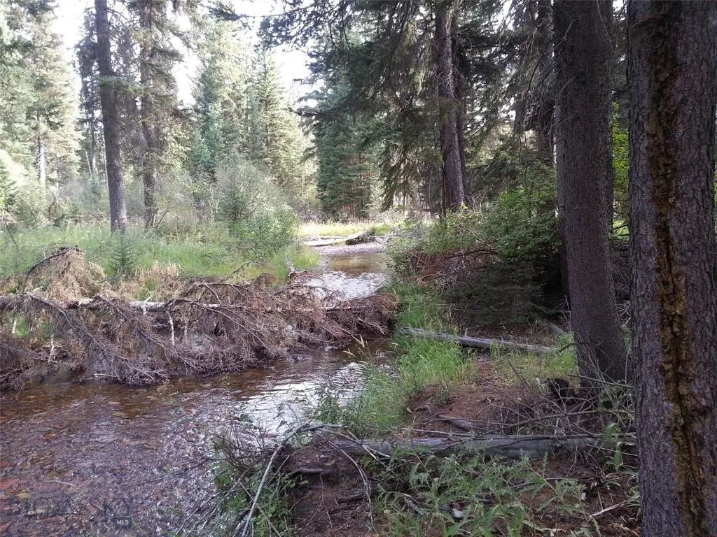Seeley Lake, Montana 59868, ,Land,For Sale,0,409204