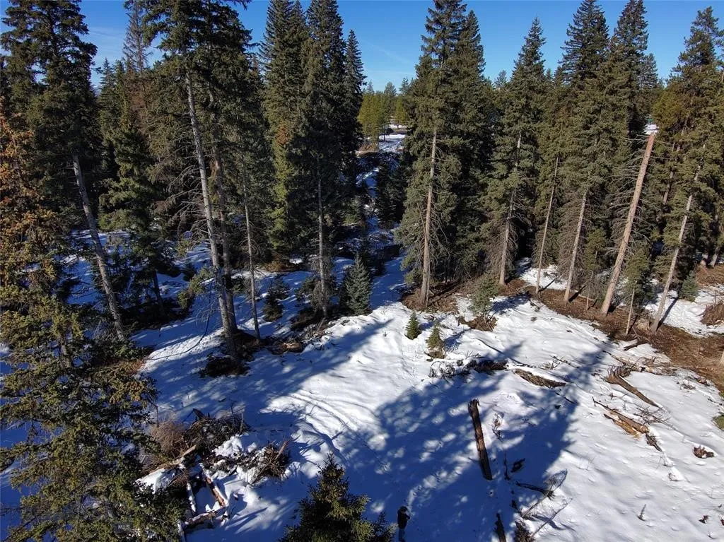 Seeley Lake, Montana 59868, ,Land,For Sale,0,409204