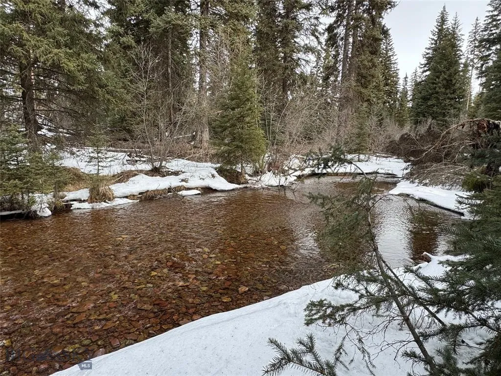 Seeley Lake, Montana 59868, ,Land,For Sale,0,409204