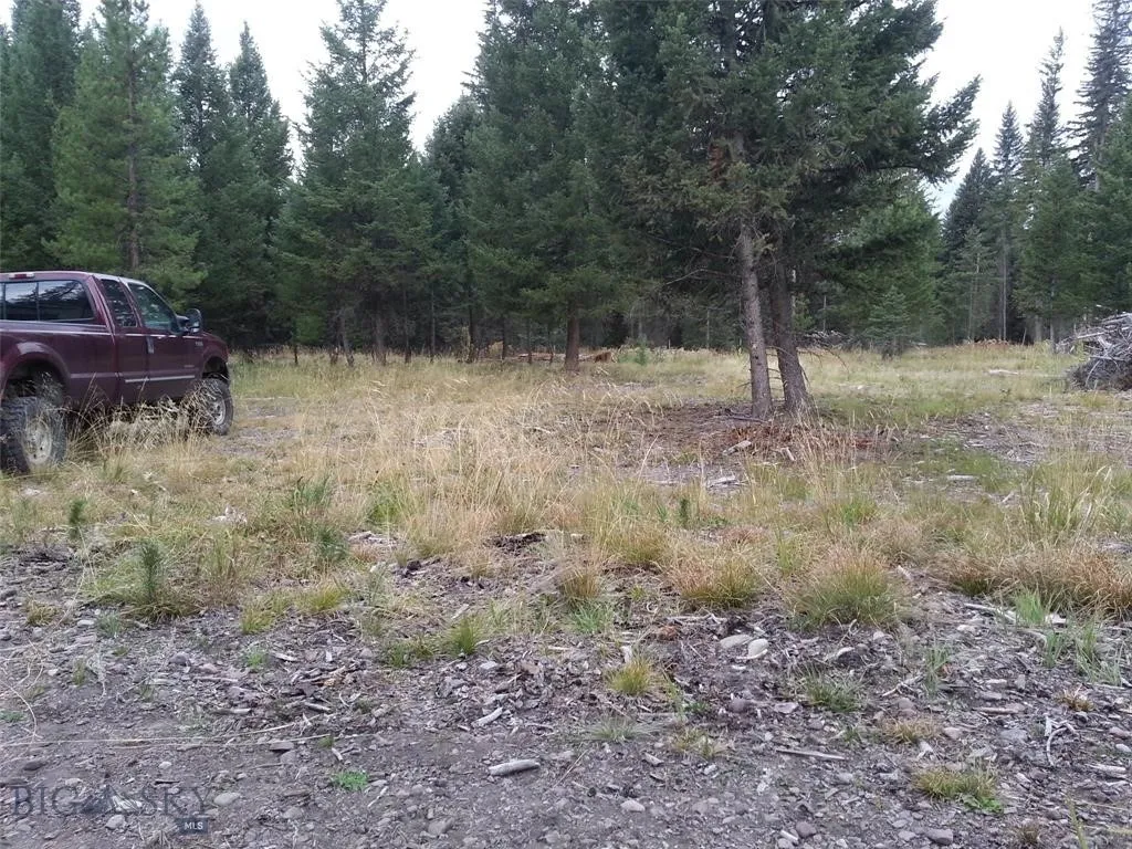 Seeley Lake, Montana 59868, ,Land,For Sale,0,409204
