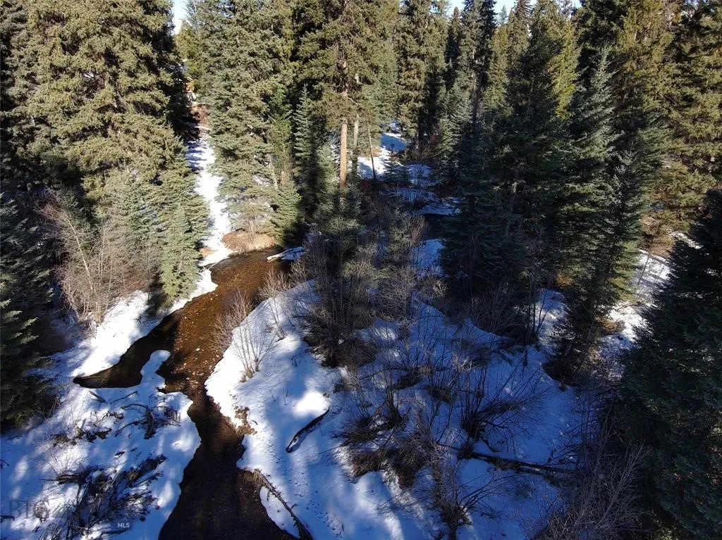 Seeley Lake, Montana 59868, ,Land,For Sale,0,409204