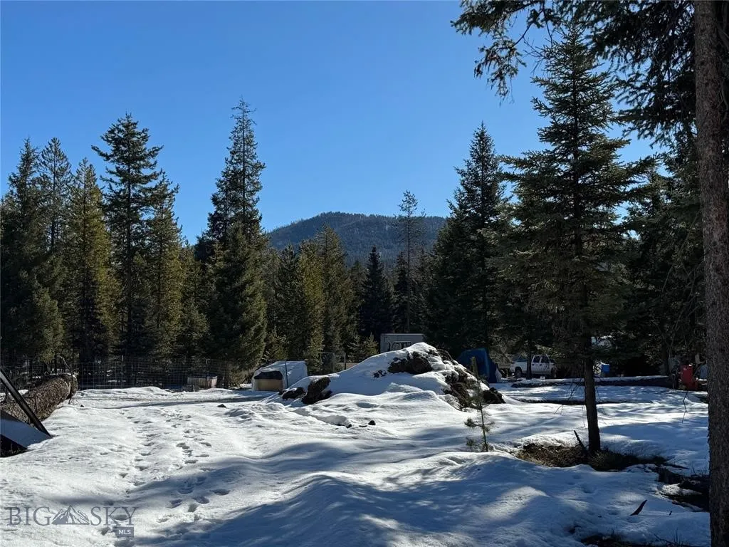Seeley Lake, Montana 59868, ,Land,For Sale,0,409204
