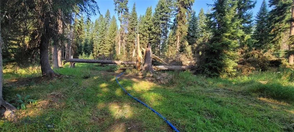Seeley Lake, Montana 59868, ,Land,For Sale,0,409204