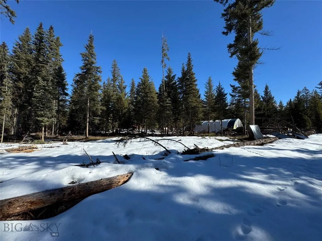 Seeley Lake, Montana 59868, ,Land,For Sale,0,409204