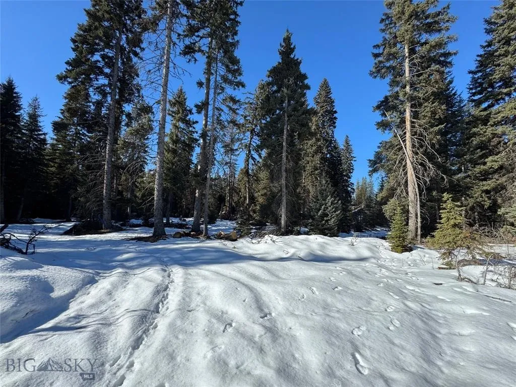Seeley Lake, Montana 59868, ,Land,For Sale,0,409204
