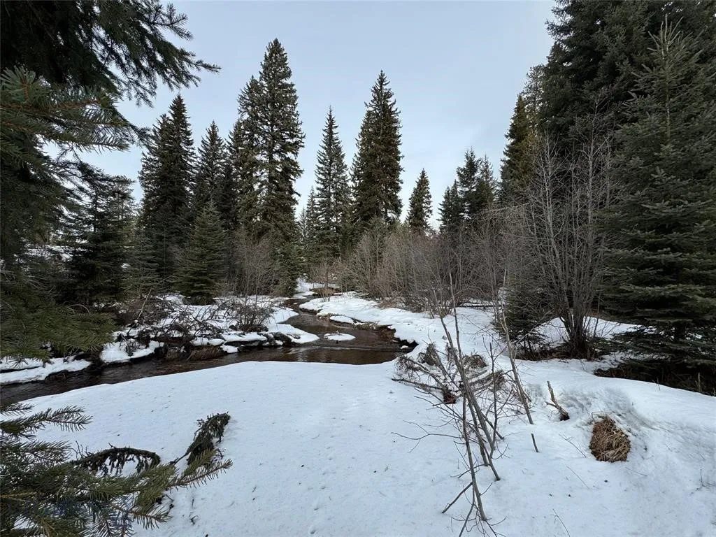 Seeley Lake, Montana 59868, ,Land,For Sale,0,409204
