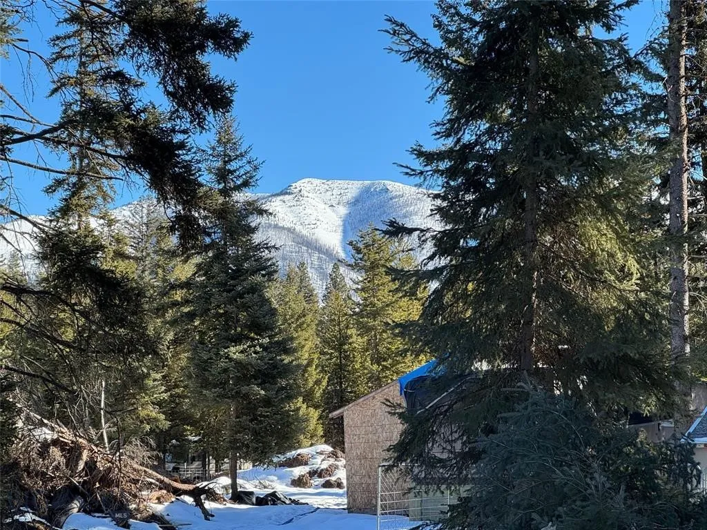 Seeley Lake, Montana 59868, ,Land,For Sale,0,409204