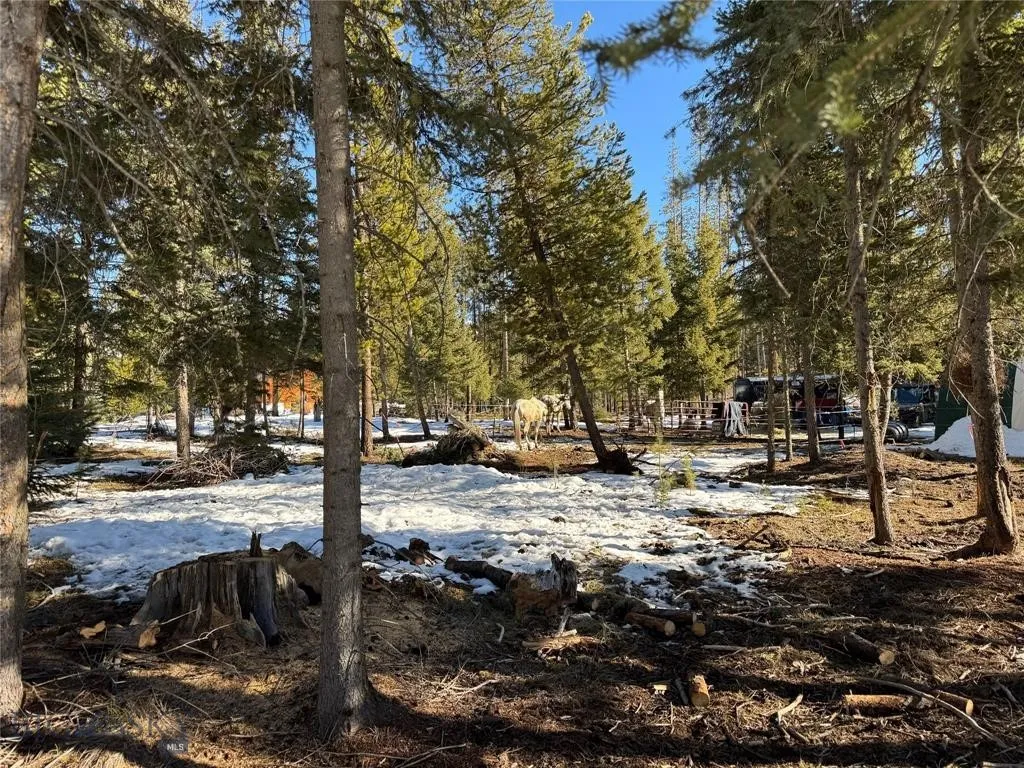 Seeley Lake, Montana 59868, ,Land,For Sale,0,409204