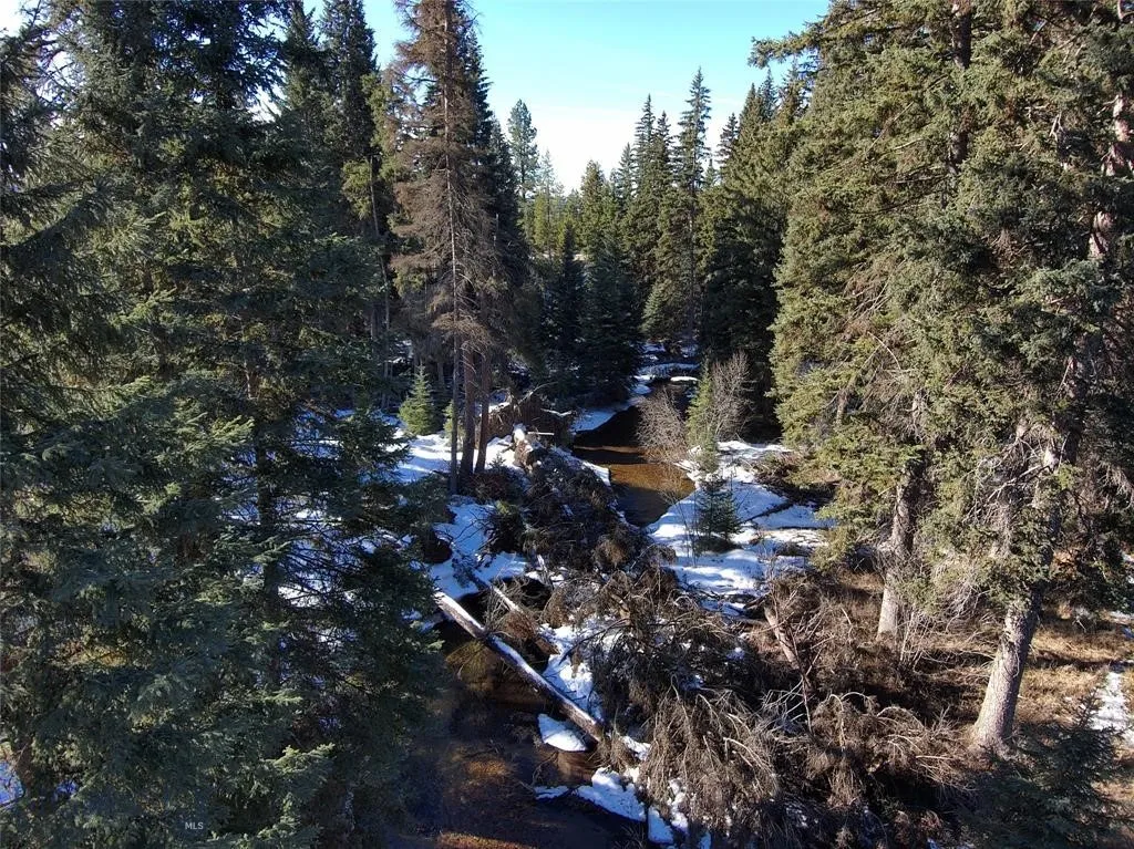 Seeley Lake, Montana 59868, ,Land,For Sale,0,409204