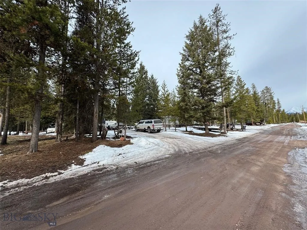 Seeley Lake, Montana 59868, ,Land,For Sale,0,409204