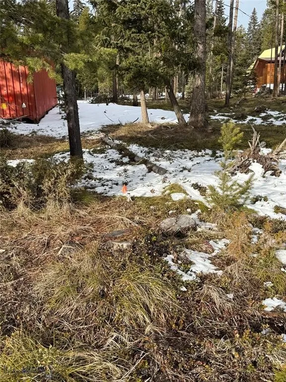 Seeley Lake, Montana 59868, ,Land,For Sale,0,409204