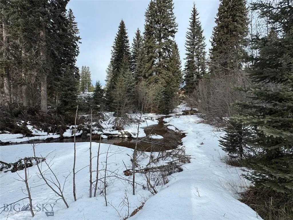 Seeley Lake, Montana 59868, ,Land,For Sale,0,409204