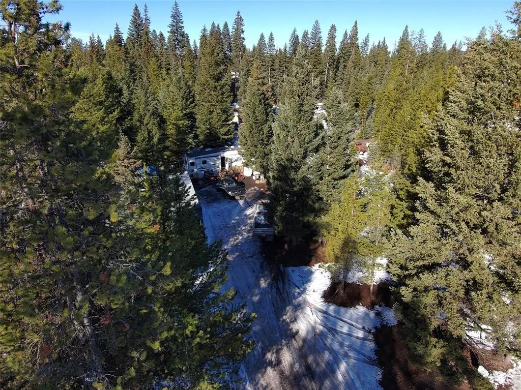 Seeley Lake, Montana 59868, ,Land,For Sale,0,409204
