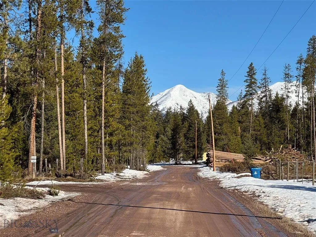 Seeley Lake, Montana 59868, ,Land,For Sale,0,409204