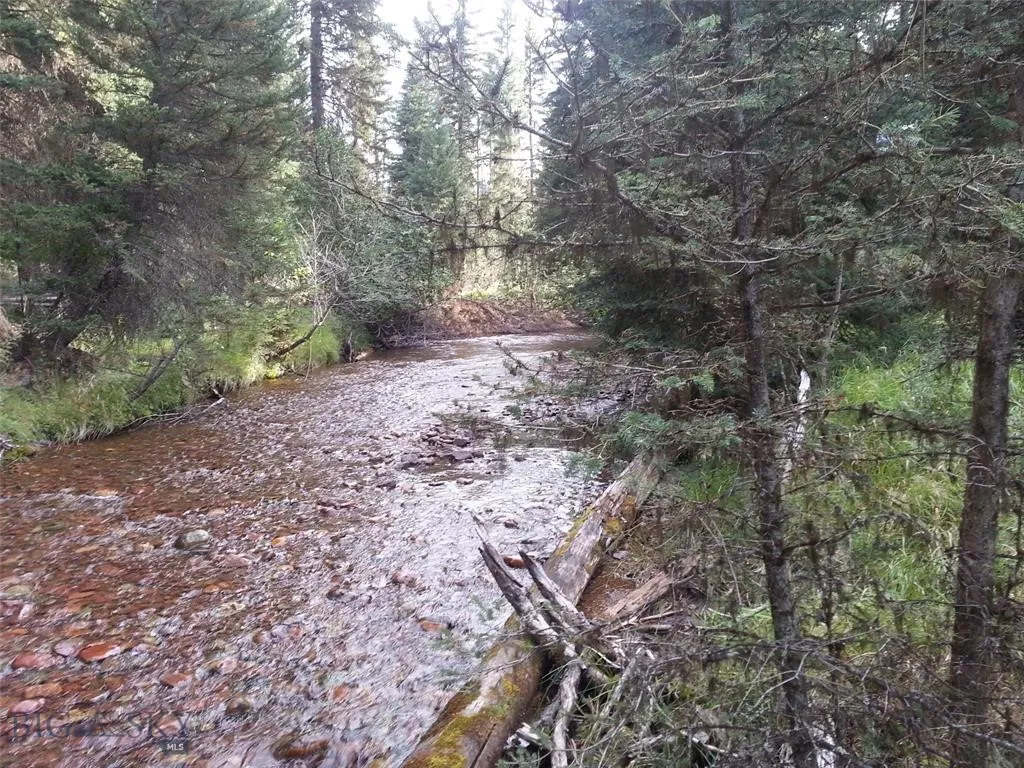 Seeley Lake, Montana 59868, ,Land,For Sale,0,409204