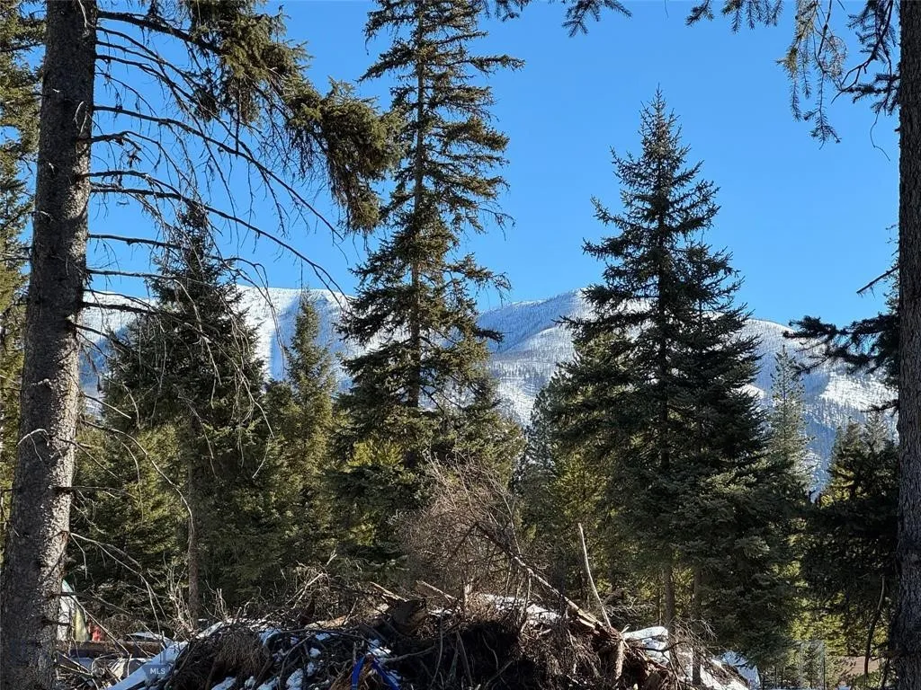 Seeley Lake, Montana 59868, ,Land,For Sale,0,409204