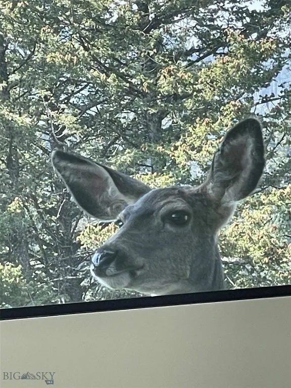 A curious little one.