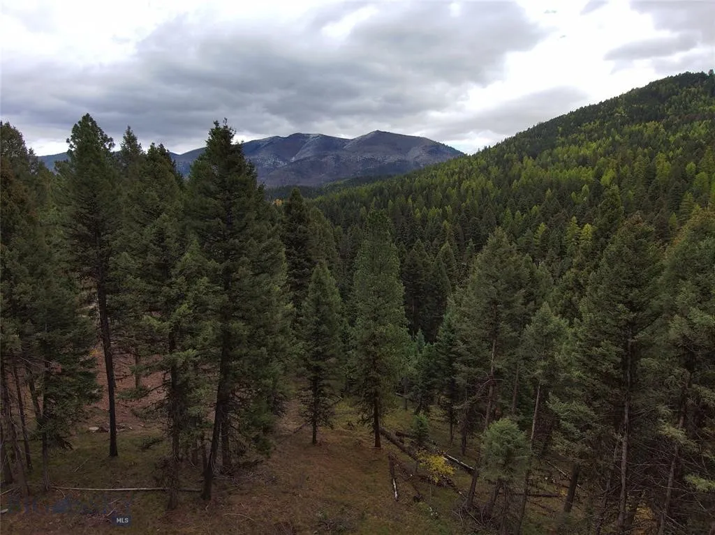 Seeley Lake, Montana 59868, ,Land,For Sale,0,409208