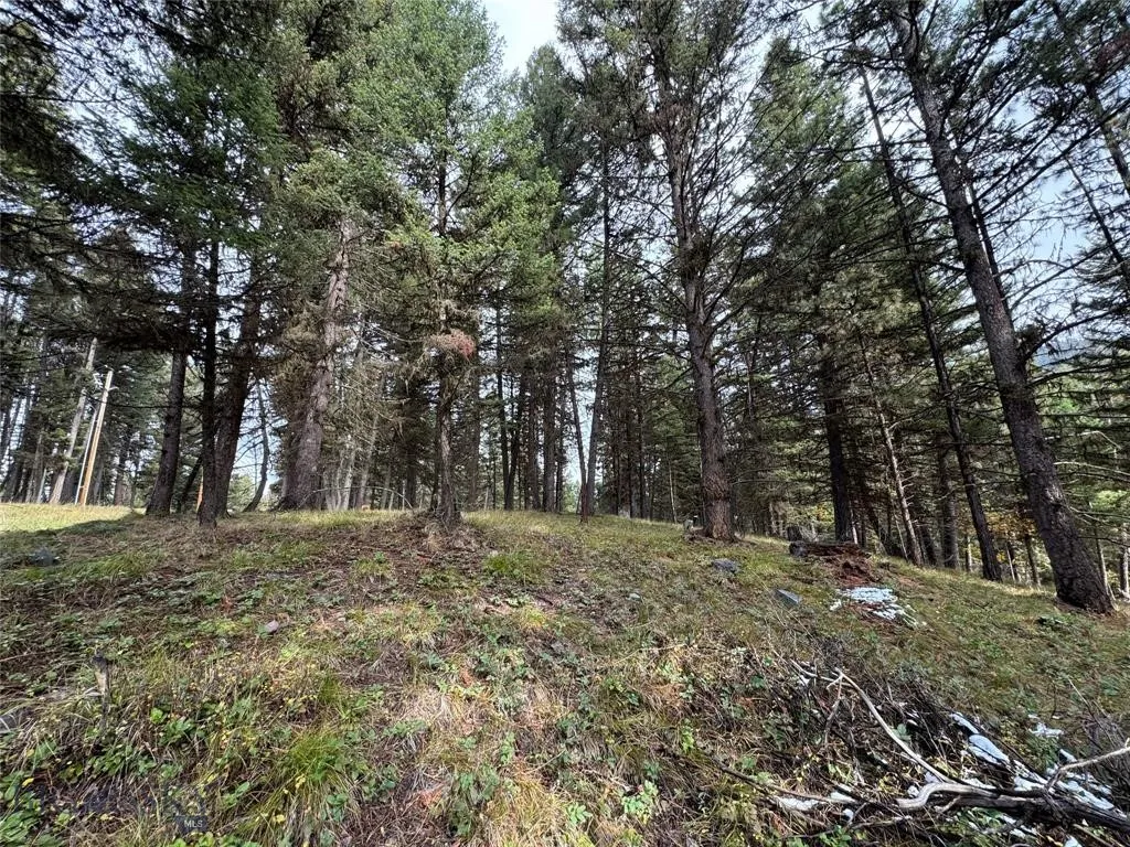 Seeley Lake, Montana 59868, ,Land,For Sale,0,409208