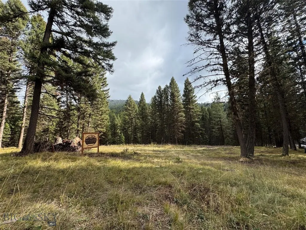 Seeley Lake, Montana 59868, ,Land,For Sale,0,409208