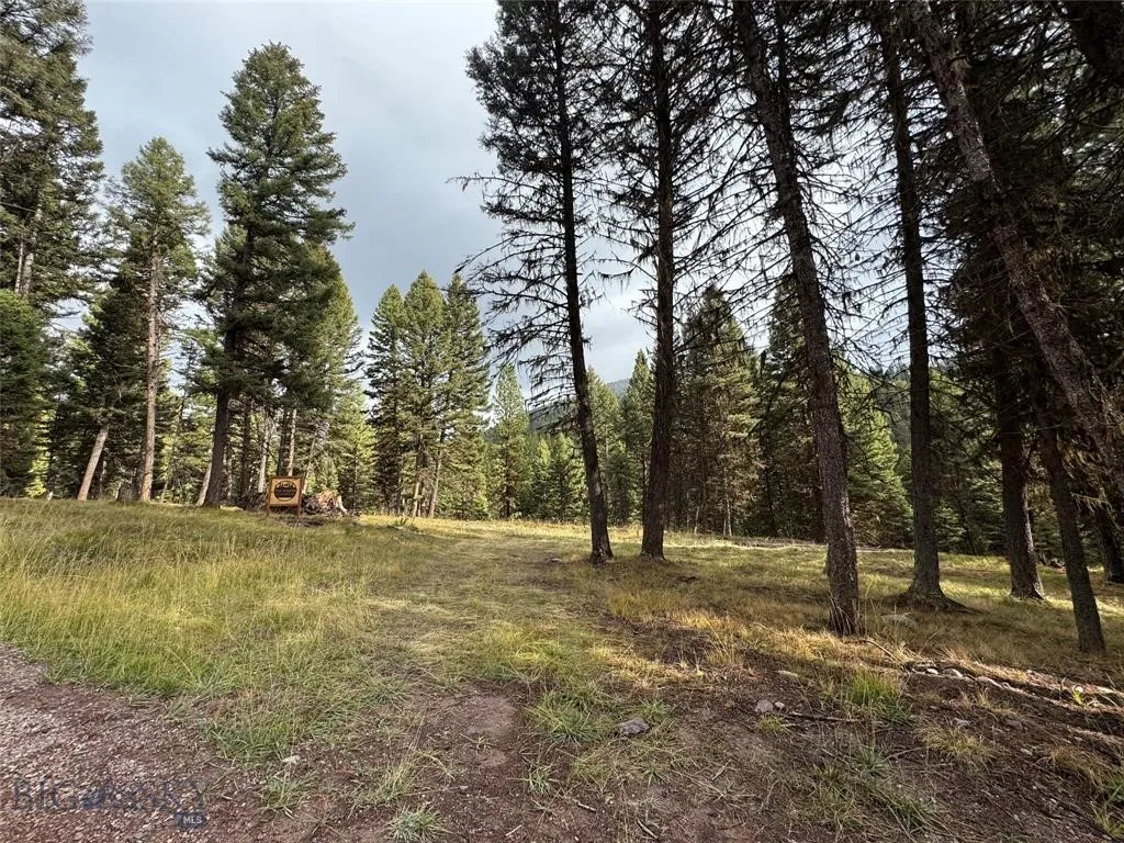 Seeley Lake, Montana 59868, ,Land,For Sale,0,409208