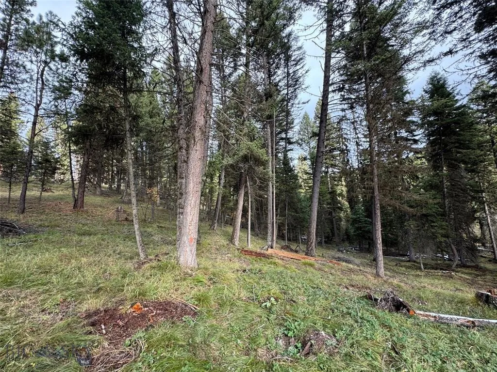 Seeley Lake, Montana 59868, ,Land,For Sale,0,409208