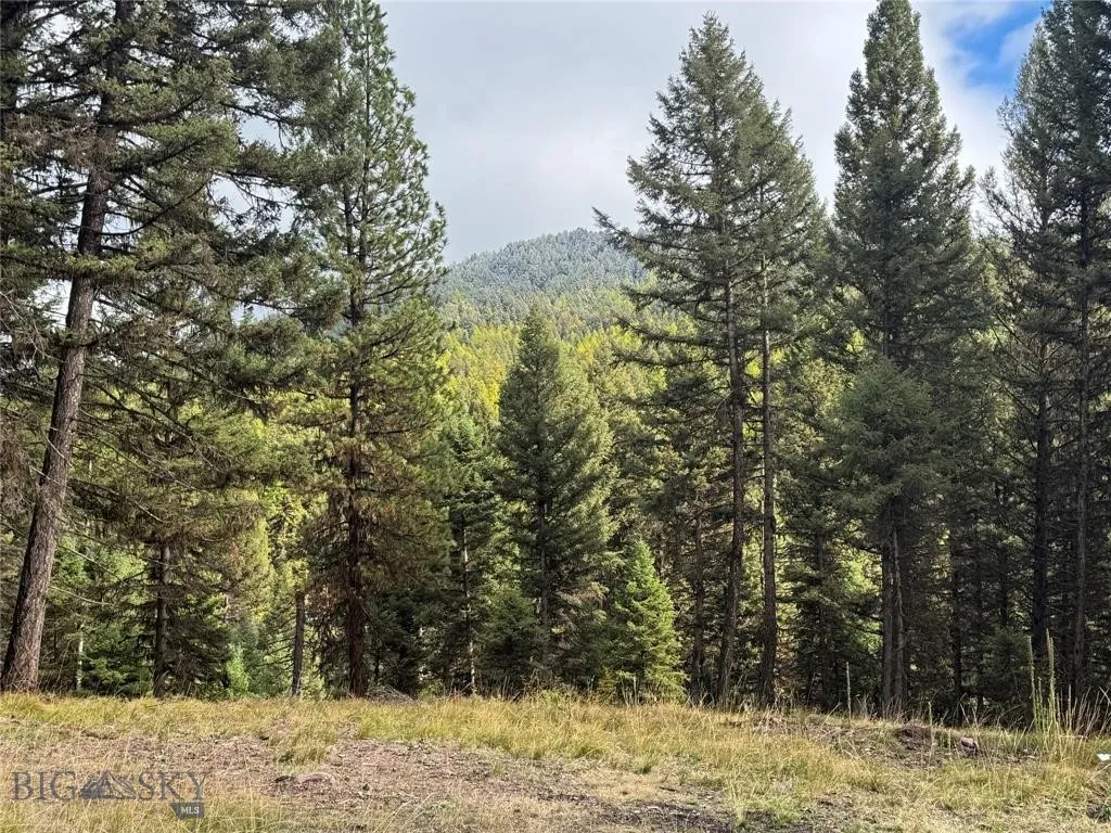 Seeley Lake, Montana 59868, ,Land,For Sale,0,409208