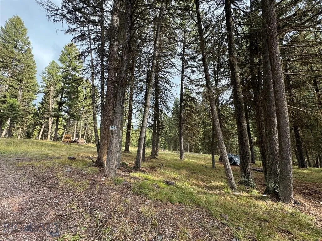 Seeley Lake, Montana 59868, ,Land,For Sale,0,409208