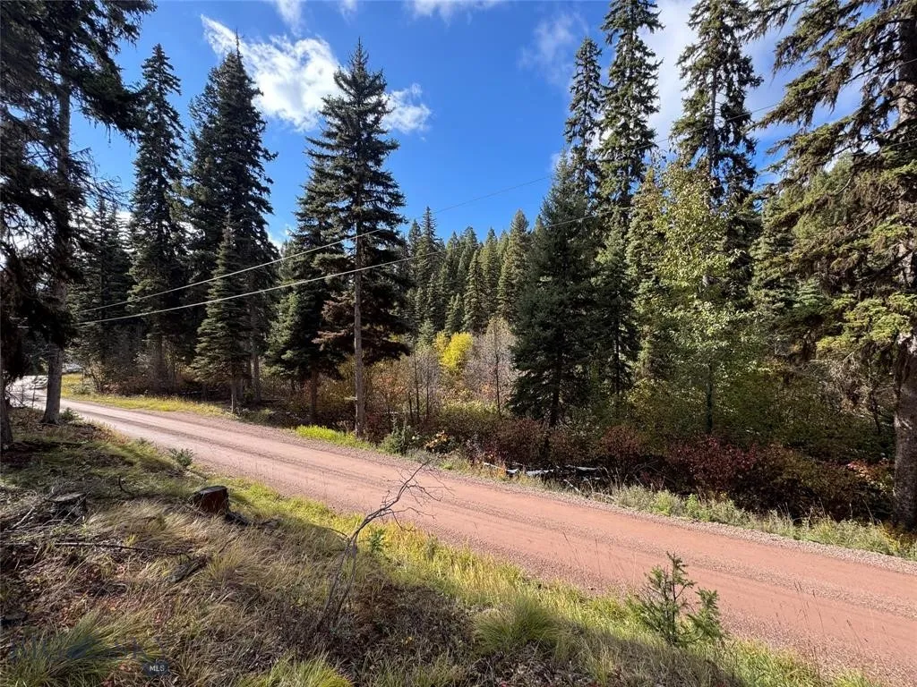 Seeley Lake, Montana 59868, ,Land,For Sale,0,409208