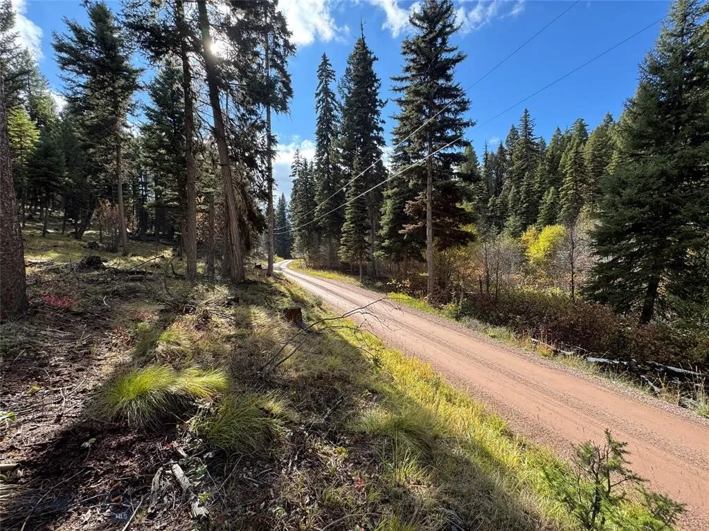Seeley Lake, Montana 59868, ,Land,For Sale,0,409208