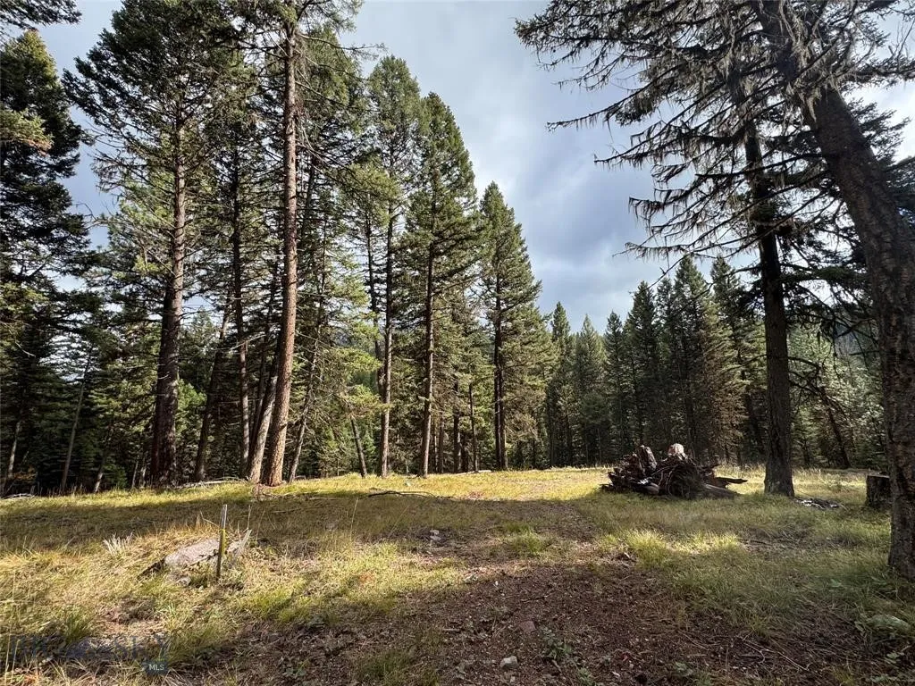 Seeley Lake, Montana 59868, ,Land,For Sale,0,409208
