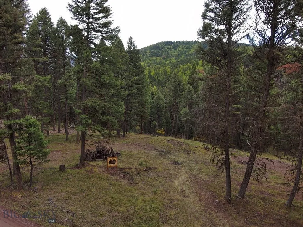 Seeley Lake, Montana 59868, ,Land,For Sale,0,409208