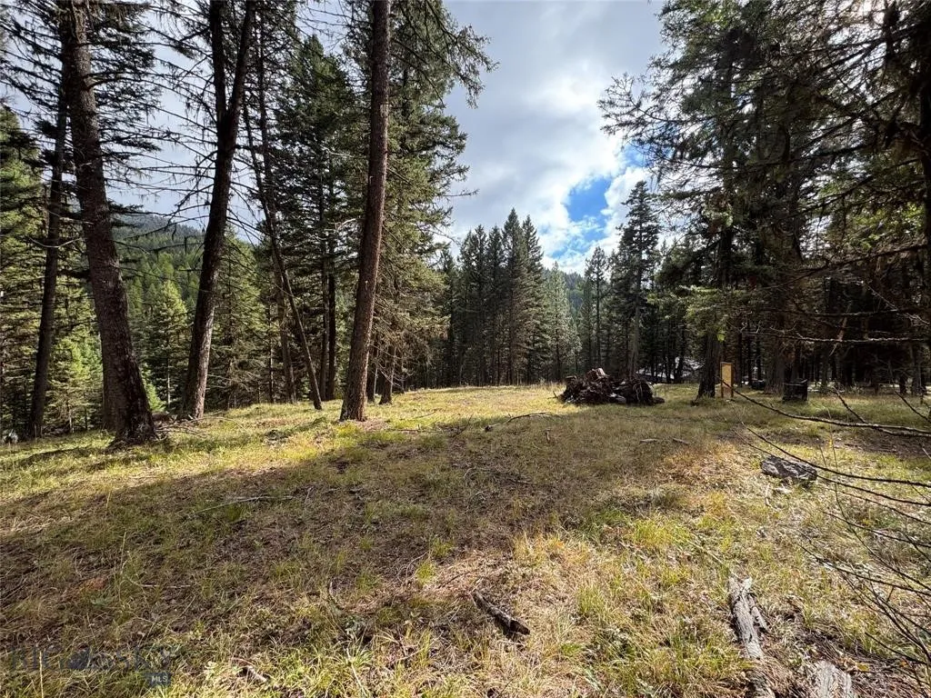 Seeley Lake, Montana 59868, ,Land,For Sale,0,409208