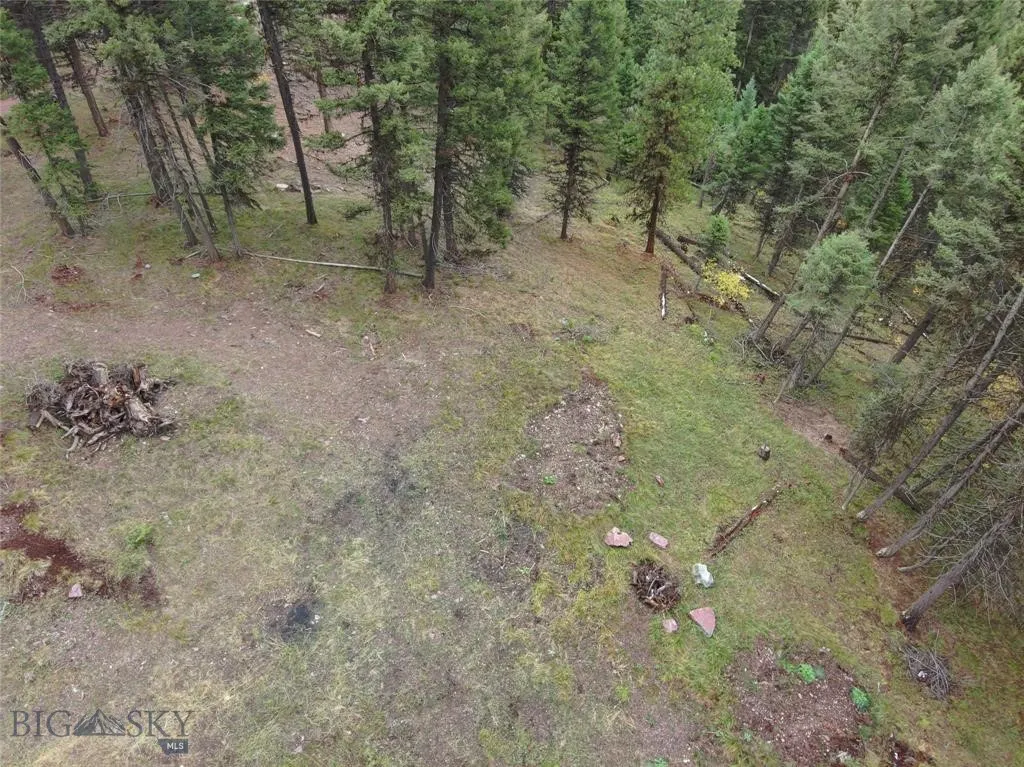 Seeley Lake, Montana 59868, ,Land,For Sale,0,409208