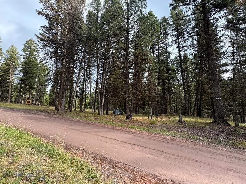 Seeley Lake, Montana 59868, ,Land,For Sale,0,409208