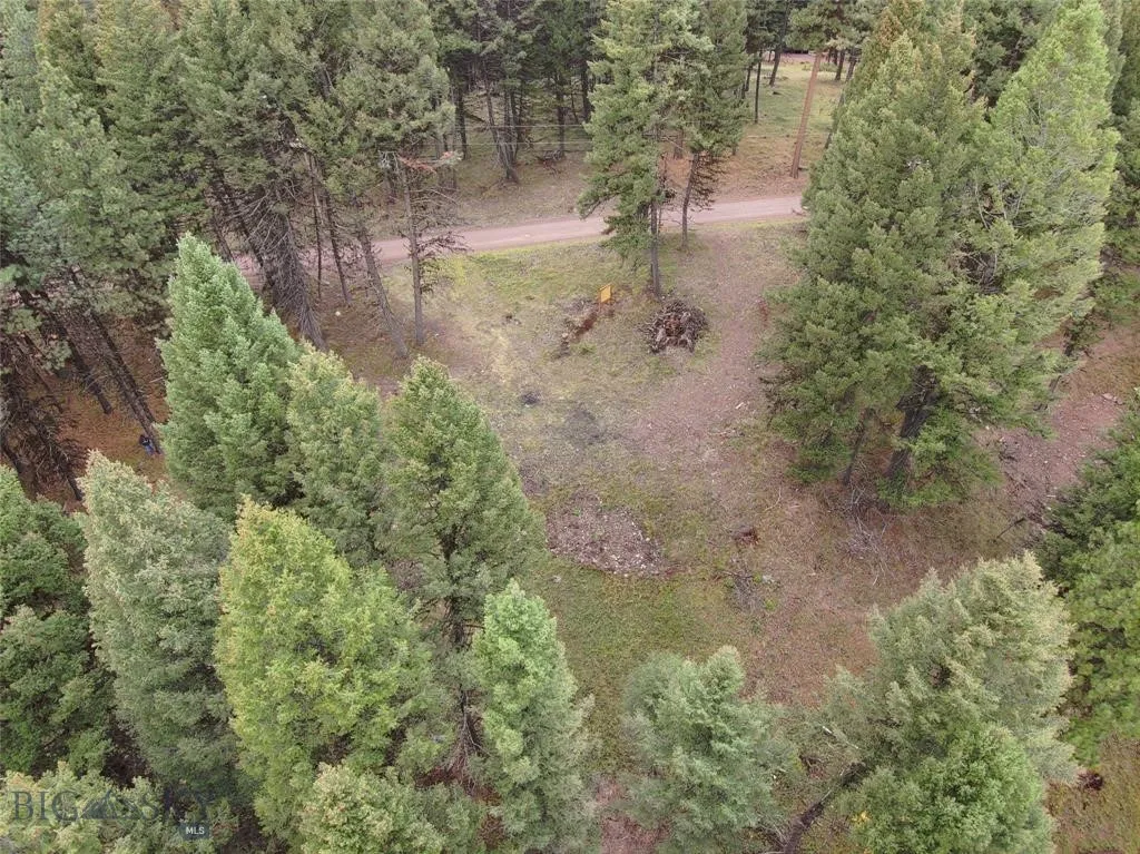 Seeley Lake, Montana 59868, ,Land,For Sale,0,409208