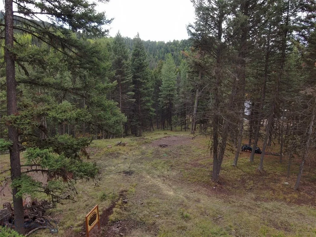 Seeley Lake, Montana 59868, ,Land,For Sale,0,409208